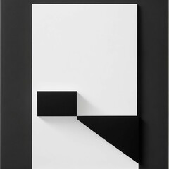 a black and white rectangular object