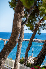 Fototapeta na wymiar trees on the beach,boat , greece, grekland, skopelos, EU, Mediterranean, Mats