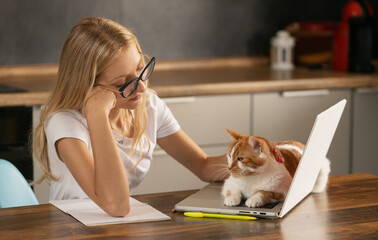 Young woman using laptop and cute cat sitting on the keyboard. Casual girl working on a laptop with pet while sitting in a homely cozy office. 