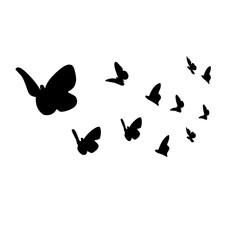 Fototapeta na wymiar group silhouette of flying butterfly
