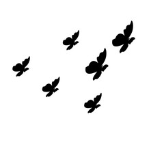 Fototapeta na wymiar group silhouette of flying butterfly