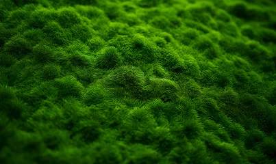 Zelfklevend Fotobehang Artificial grass field meadow green. Top View Texture. © waichi2013th