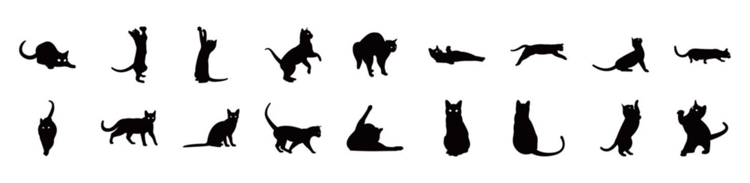 Vector set of detailed cat silhouettes isolated on white background