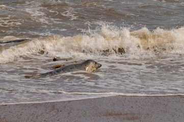 Portgordon, Scotland
