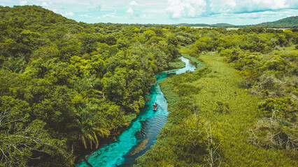 Sucuri River or Rio Sucuri in Bonito, Mato Grosso do Sul - river with blue crystalline water. Brazil - obrazy, fototapety, plakaty