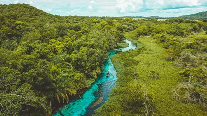 Papier Peint photo autocollant Brésil Sucuri River or Rio Sucuri in Bonito, Mato Grosso do Sul - river with blue crystalline water. Brazil