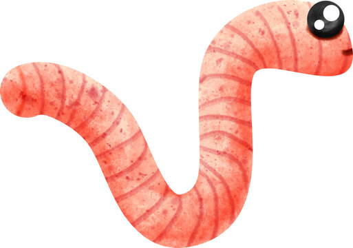 watercolor earthworm