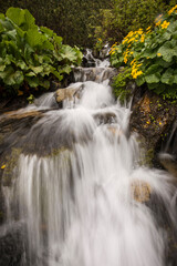 Obraz premium Beautiful waterfall with yellow flowers around