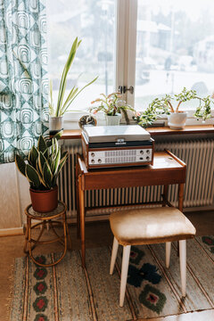 Audio equipment and plants arranged on table at home