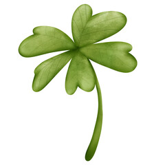 Clover leaf png clipart
