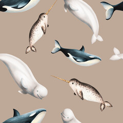 Watercolor seamless pattern with beluga, killer whale and narwhal isolated on white background. Hand painting realistic Arctic and Antarctic ocean mammals. For designers, decoration, postcards, wra