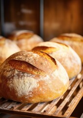 Baked crispy sourdough bread in the oven. Bread preparation. Generative AI.