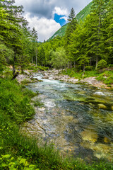 A view up towards rapids in the lower reaches of the Mostnica river in the Mostnica gorge in...