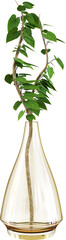 3d render clear glass vase with branch