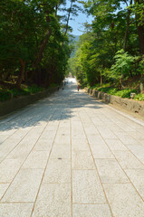 出雲大社の参道