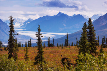 Obraz premium Autumn in Alaska