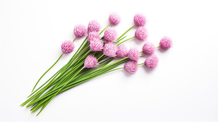 Chives on light background AI Generative