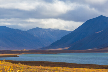 Autumn in polar tundra
