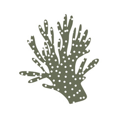 Coral. Underwater element. Vector illustration in scandinavian style. Sea ocean.