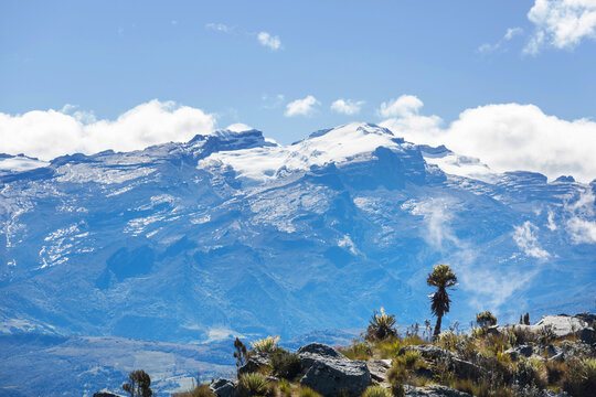 El Cocuy
