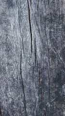 Fototapeta premium Gray wood pattern