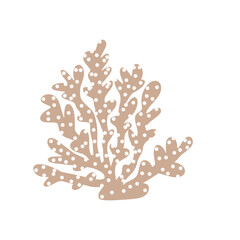 Coral. Underwater element. Vector illustration in scandinavian style. Sea ocean.