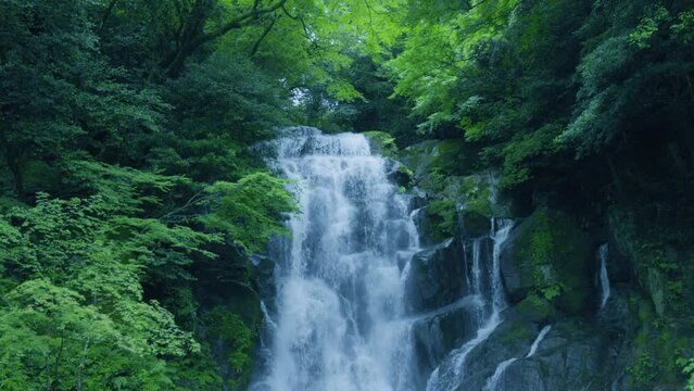 福岡県にあるマイナスイオンたっぷりの滝（糸島　白糸の滝）