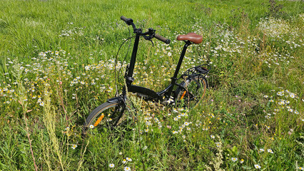 A bicycle for walking stands in the green grass in a field on a sunny summer day