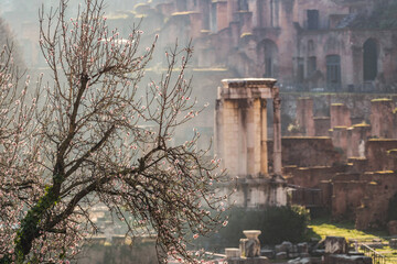 Ruines du Forum Romain