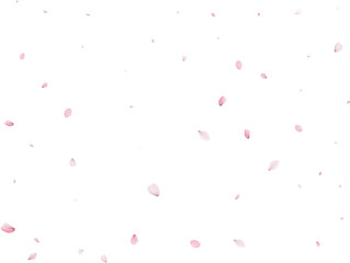 Magic Sakura Background