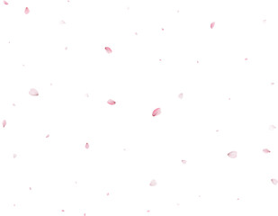 Fototapeta na wymiar Magic Sakura Background