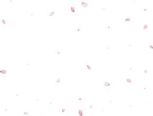 Magic Sakura Background