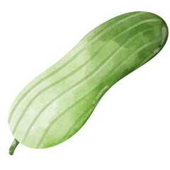 cucumber on a transparent background