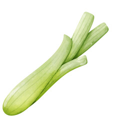 spring onion on a transparent background