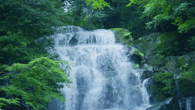 福岡県にあるマイナスイオンたっぷりの滝（糸島　白糸の滝）