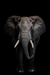Foto op Canvas Elephant portrait on black background © Sasint