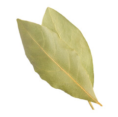 Dried bay leaf, transparent background