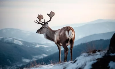 Deurstickers Toilet Reindeer on the background of a mountain winter landscape