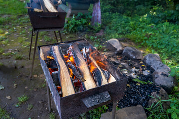 burning wood campfire close-up. burning campfire in the nature. campfire for a picnic. 