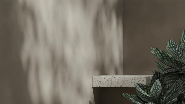 empty space terrazzo texture podium of with looping seamless shadow animation mute green wall and pink stripe calathea, rendering 3d footage