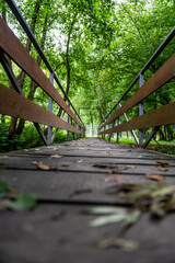 Wooden bridge over forest river