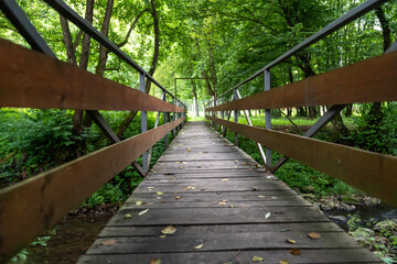 Fototapeta premium Wooden bridge over forest river