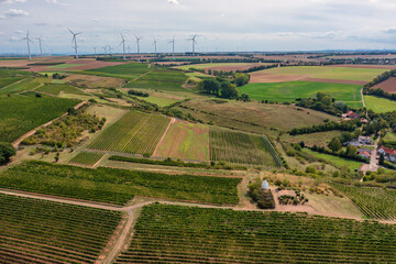 Bird's-eye view of vineyards in Rheinhessen near Flonheim/Germany