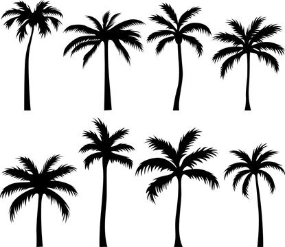 Palm trees isolated on a white. Palm tree silhouette for background. Trees collection images. Black vector illustration. Ai generated.