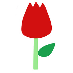 red flower isolated on white