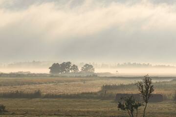 poranek mgły na polach na wsi