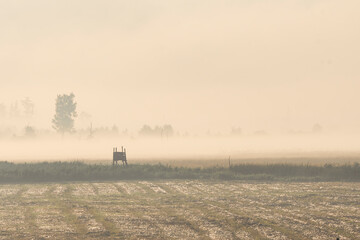 poranek mgły na polach na wsi