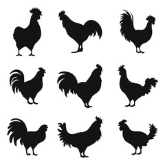 Pet poultry silhouettes and icons. Black flat color simple elegant Pet poultry animal vector and illustration.