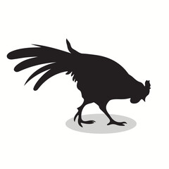 Pet poultry silhouettes and icons. Black flat color simple elegant Pet poultry animal vector and illustration.