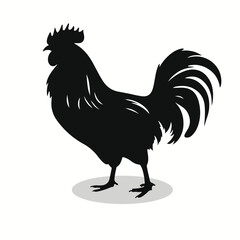 Pet poultry silhouettes and icons. Black flat color simple elegant Pet poultry animal vector and illustration.